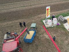 大豆機(jī)械收獲不當(dāng)可能造成的影響有哪些，如何防止？