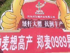 2025小麥控旺抗旱防凍保安全越冬技術(shù)指導(dǎo)意見(jiàn)